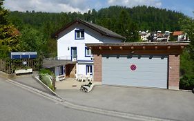 Nolla Apartment